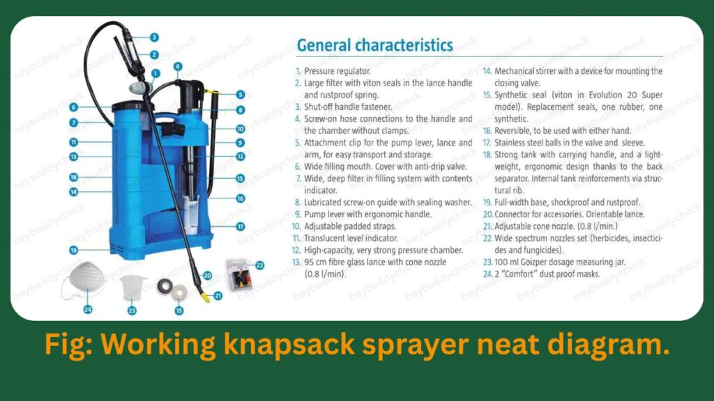 Explain working of knapsack sprayer with neat diagram.
नैपसेक स्प्रेयर की कार्यप्रणाली को स्पष्ट चित्र सहित समझाइए।